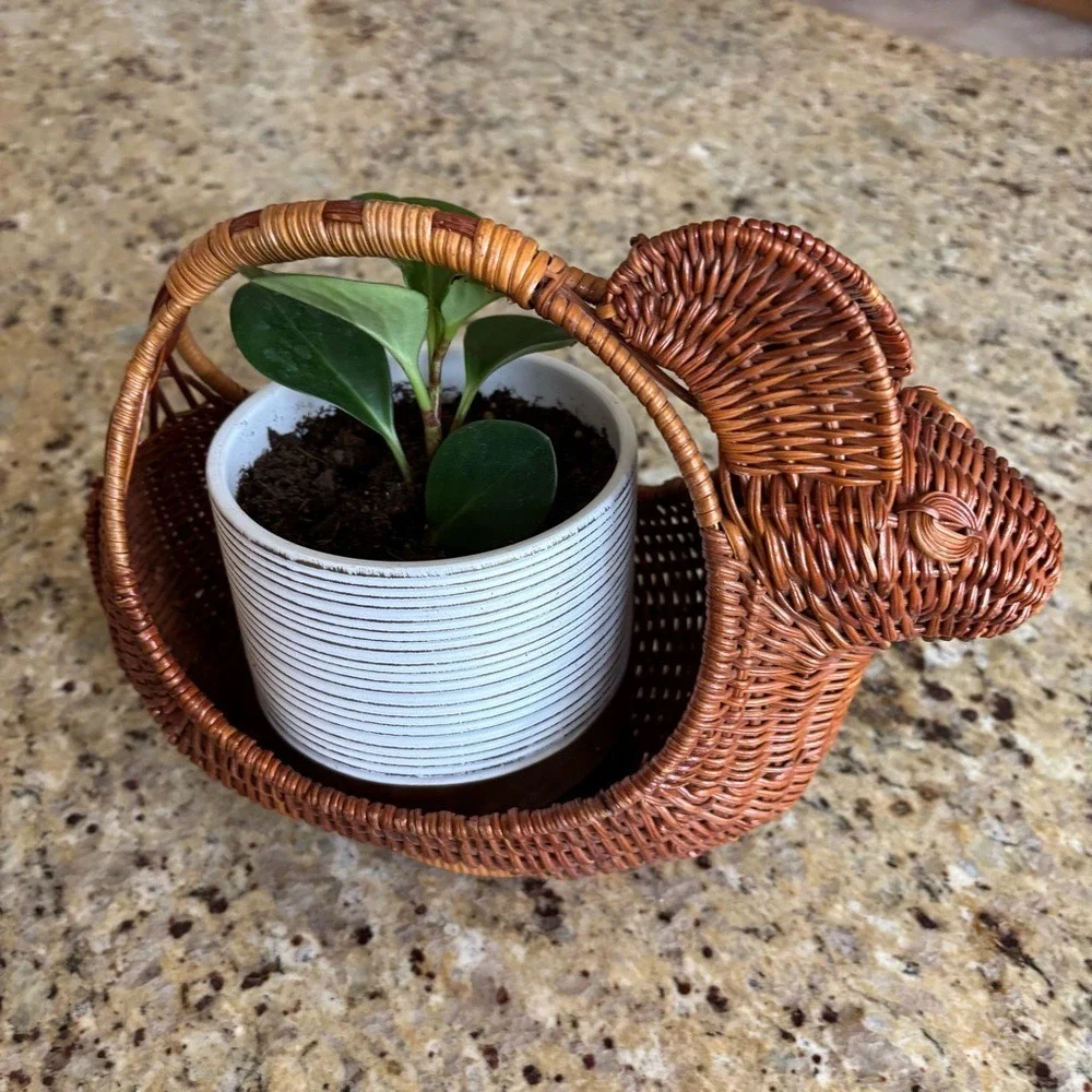 Wicker Rabbit Basket woven wood planter‎ Easter